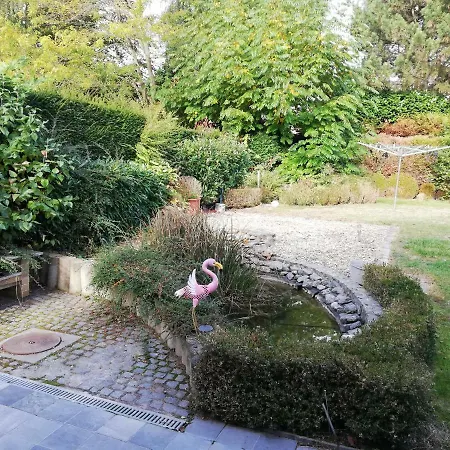 Een Juweeltje, Dichtbij Brussels Expo En Plantentuin ヴィラ Meise